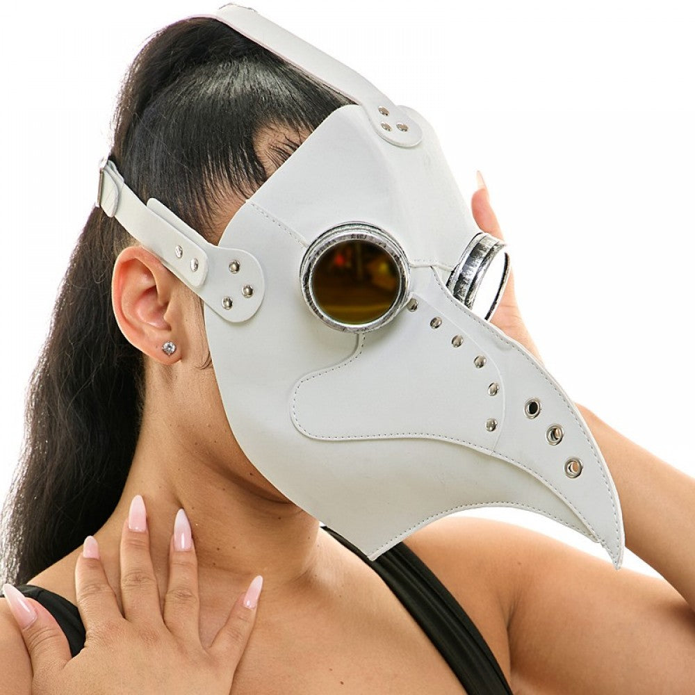 Steampunk Plague Doctor Mask, Long Nose Bird Beek Mask For Halloween Costume Cosplay party
