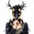 halloween goat horn masks