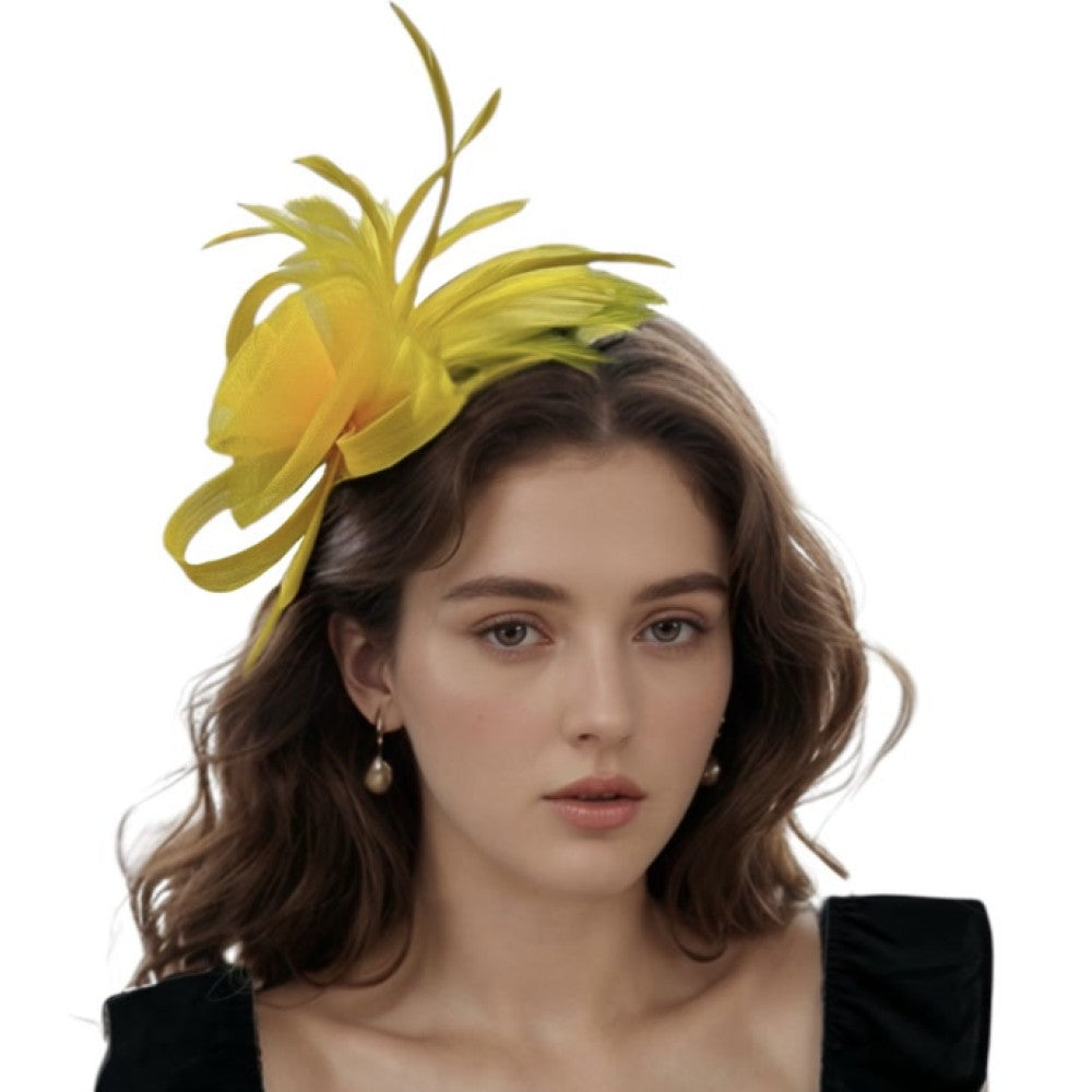Women Fascinators Hat Flower Mesh Ribbons Feathers on a Headband and a Clip Tea Party Headwear