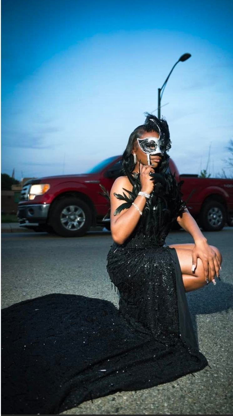 Masquerade Mask With Stick